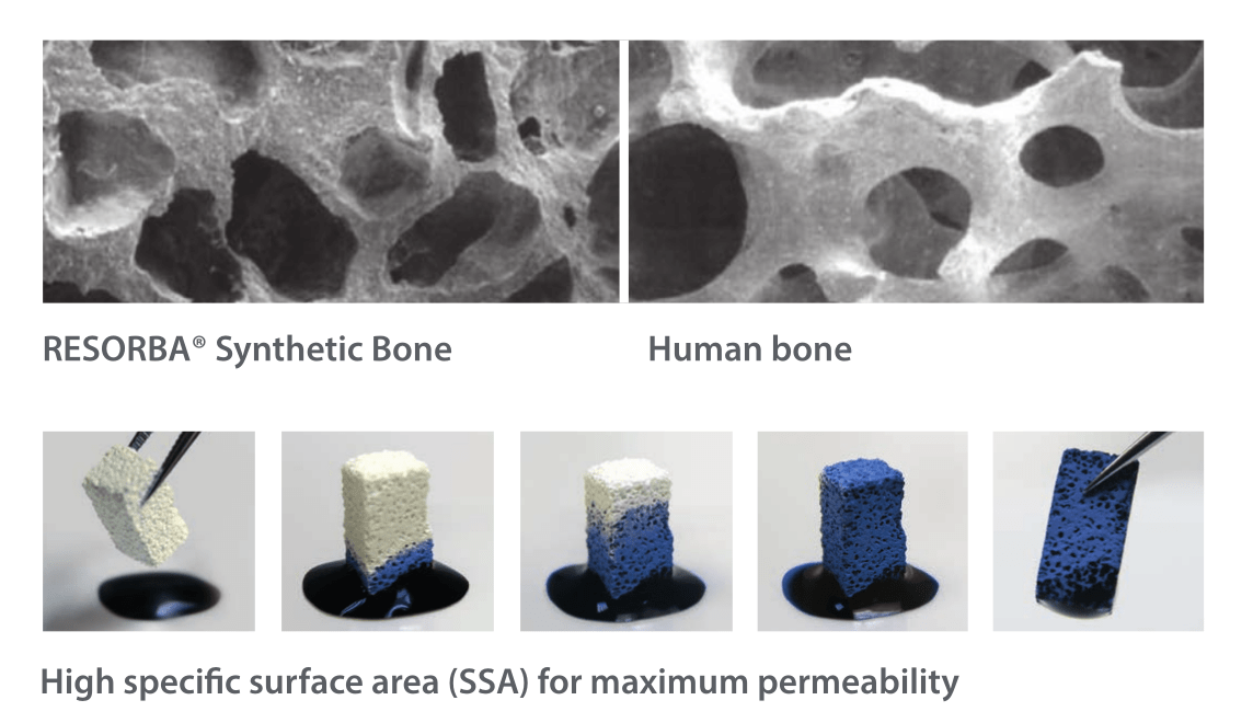 RESORBA Synthetic Bone heico Dent